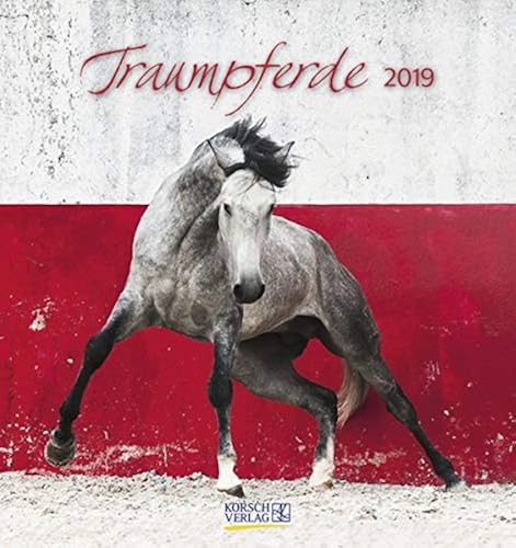 Download Traumpferde 2019. Postkartenkalender: aufstellbarer Postkartenkalender PDF