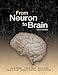 From Neuron to Brain