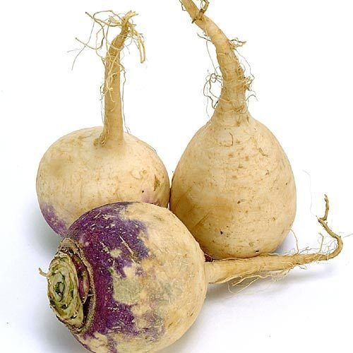 Todd's Seeds American Purple top Rutabaga Heirloom Seed - 5g Packet