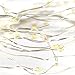 Kohree 10ft 60 LEDs String Lights, AA Battery Powered Decor Rope Lights for Holiday, Wedding, Parties Decoration with Timer & Battery Box (Warm White)