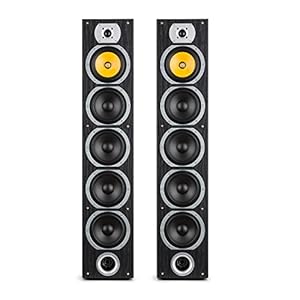 auna floor standing speakers