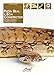 Pitón real y boa constrictor (Spanish Edition) by Massimo Millefanti
