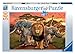 Ravensburger African Splendor 500 Piece Jigsaw Puzzle for Adults – Every Piece is Unique, Softclick Technology Means Pieces Fit Together Perfectly