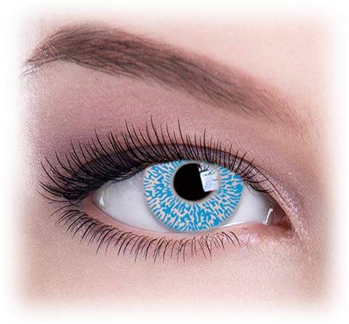 Women Multicolor Cute Charm and Attractive Eye Accessories Cosmetic Makeup Eye Shadow - Blue Glimmer with Contact Lens Case By Dress You Up TM - Thumbnail 2