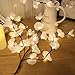 Fine Phalaenopsis Tree Branch Lights - Led Branches Battery Powered Decorative Lights Tall Vase Filler Willow Twig Lighted Branch for Home Party Garden Decoration (White)