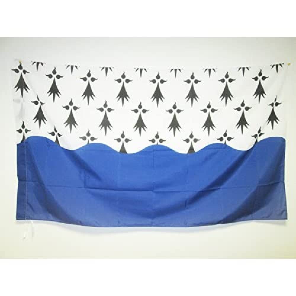 AZ FLAG - French Department of Morbihan Flag - 2x3 Ft - Department of France Banner with Sleeve - 100% Polyester - Fade Resistant - Vivid Colors - 2' x 3' Feet - 90x60 Cm