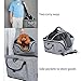 Petsfit Carrier with Mesh Dome Top, for Small Pet Up to 20 Pounds Large 20