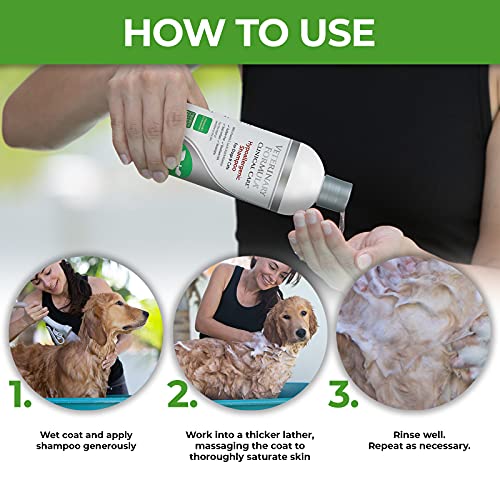 Veterinary Formula Clinical Care Hypoallergenic Shampoo for Dogs and