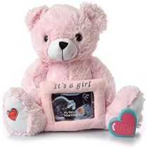 Amazon.com: My Baby's Heartbeat Bear Stuffed Animal, 20 Sec ...
