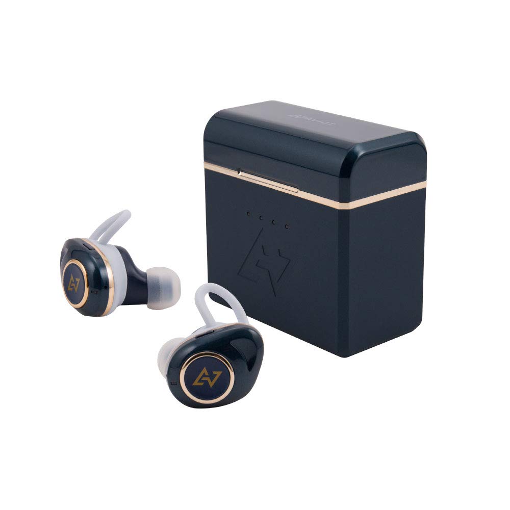 Mua AVIOT TE-D01d mk2 True Wireless Earbuds Fully Wireless