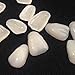 GogoForward A1 A2 (Random) Dental Ultra-Thin Whitening Veneers Resin Teeth Upper Anterior 100 Pcs Aus