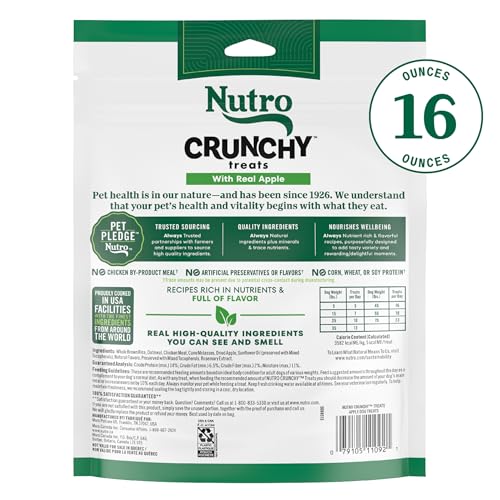 NUTRO CRUNCHY DOG TREATS WITH REAL APPLE, 16 OZ. BAG