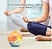 Himalayan Crystal Salt Lamp ,Lucktao USB Charge Adjustable with LED Dimmer Cord,Pure Salt Crystals in Glaze Bowl ,Relieve Stress Safety Salt Lamp,Holiday Gift lamp