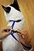 Juvale Adjustable Nylon Pet Harness Collar and Leash for Cats and Small Dogs, Navy Blue