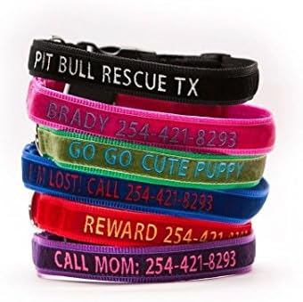cute personalized dog collars