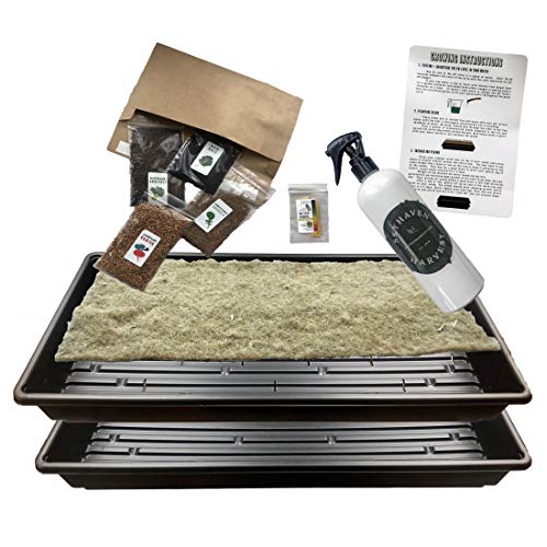 Skyhaven Harvest Hydroponic Microgreens Grow Kit Give The Gift of a
