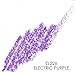 Palladio Eyeliner Pencil, Electric Purple