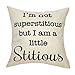 Fjfz The Office Décor TV Show Funny Decoration I'm not Superstitious But I am a Little Stitious, Michael Scott Sign Cotton Linen Home Decorative Throw Pillow Case Cushion Cover for Sofa Couch 18
