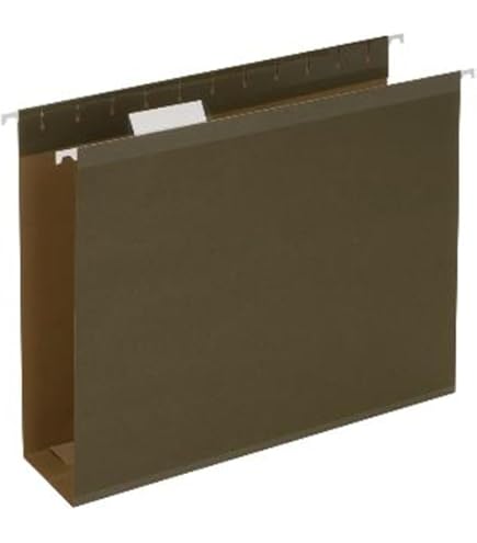 EOOUT Paquete De 1 Caja Organizadora De Archivos Con Tapa, Carpetas De Archivos Colgantes Tamano Carta Organizador De Documentos Plegable Para