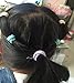 Baby Soft Hair Elastics Ties for Kids Toddlers Colorful Small Seamless Hair Ponytail Holder(200 PCS)