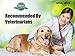 AMZpets Dog Lifting Harness - Small. Assists Pets with Limited Mobility Stand, Climb Stairs, Walk Into Cars Using Ramps. Support Sling for Senior & Injured Canines. Recommended by Veterinarians