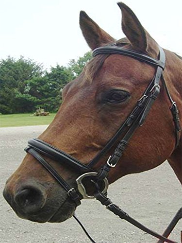 Paris Tack Opulent Series Classic Dressage Bridle with Crank Noseband and Flash Attachment, Black, Oversize