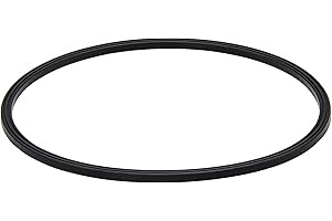 RURBRIN (1PC) Motor Seal Gasket P58147800 Compatible with Summer Waves SFX600 & SFX1000 Filter Pumps, Also Fit for Top and Bottom RX Filtration System & SFX Filtration Systems