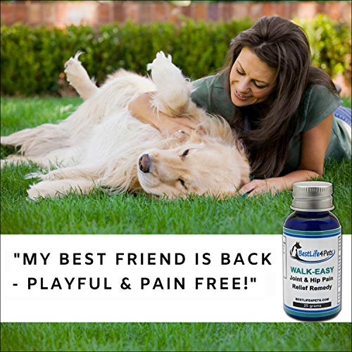 WALK-EASY Hip and Joint Supplement for Dogs and Cats; Advanced Anti-inflammatory Support and Arthritis Pain Relief Pills | Natural, Chemical-free and Easy To Give Your Pet - 2 Pack