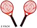 Homewell Electric Bug Zapper (2 PACK) Moquitos, Fly, Pest Zap Swatter