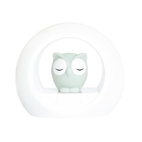 Zazu Lou owl night light