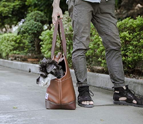 tailfour pet carrier