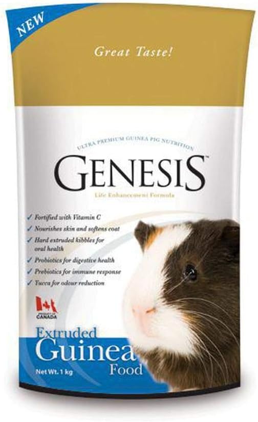 windham animal shelter