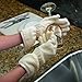 Envision Home Microfiber Dish Drying Gloves, Cream