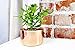 Alchemade 100% Pure Copper Hammered lanter - Beautiful Round Decorative Metal Pot Greate for Indoor & Oudoor use for Succulents, Cactus, Plants, and Flowers to add to Your Home Decor