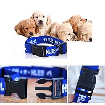 Adjustable Anti Mosquitoes, Anti Fleas, Anti Tick Collar for Dog/Puppy/Cat/Kitten (Blue)