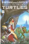 Teenage Mutant Ninja Turtles Vol.1 #13