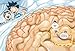 Survive! Inside the Human Body, Vol. 3: The Nervous System