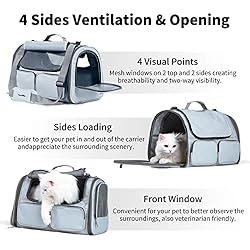 FUKUMARU Cat Carrier, 4 Mesh Windows Small Dog
