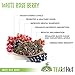 White Rose Berry 2 Ounce (30 Servings): Invigorating Acai Tea from TEAKI Hut, 3 Time Award Winners for Organic Loose Leaf White Tea