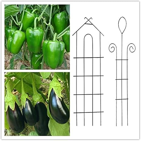 Pimiento y berenjena planta enrejado, de 22 de jaula Set de 2 ...