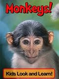 Monkeys! Learn About Monkeys and Enjoy Colorful Pictures - Look and Learn! (50+ Photos of Monkeys)
