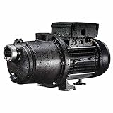 Pentair Boost-Rite Booster and Pressure-Side Cleaner Pump HP 115V 230V | LA-MS05