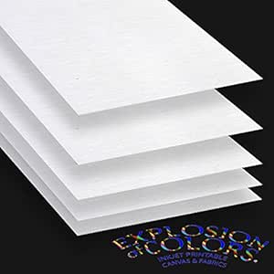 Printable Inkjet Primed Gessoed - 51UQnk8qbxL. AC SY300 QL70 ML2 