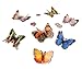 Insect Lore Deluxe Butterfly Garden Gift Set with Live Cup of Caterpillars Habitat