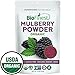 Biofinest Mulberry Juice Powder - 100% Pure Freeze-Dried Antioxidants Superfood - USDA Organic Vegan Raw Non-GMO - Boost Digestion Weight Loss - for Smoothie Beverage Blend (4 oz Resealable Bag)