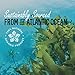 Organic Kelp Powder 1 Pound, Wholefood Dietary Supplement, Raw Sun-Dried Kelp Seaweed from Canada, 100% Pure, Non-GMO, Gluten-Free & Kosher