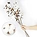 Coceca Cotton Stems - 3 Pack 10 Balls Per Stem - 23 Inch Farmhouse Display Filler-Foral Decoration