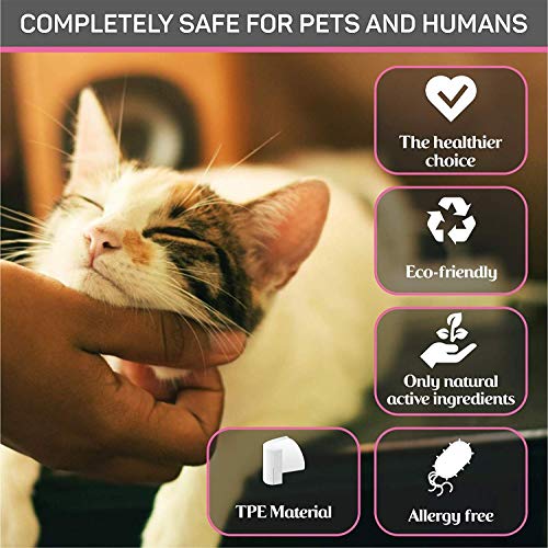 Flea Tick Prevention for Cats - Cat Flea Collars Flea Tick Prevention Cat Flea Treatment Flea Protection Pet Flea Collars Fit All Cats Fleas Ticks for Flea Control Cats - Thumbnail 3