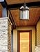 Trans Globe Lighting 4183 RT Wentworth Collection One Light Outdoor Hanging Lantern I in a Rust Finish I Traditional Style Light Fixture I