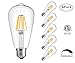ZYCYLIGHT Led Edison Bulb, Dimmable 6w Led Light Bulbs, ST64(ST21) Vintage Edison Antique LED Bulb, 550 Lumens 2700K – 3200K Warm White, E26 Led Bulb, Clear Glass Cover,Pack of 6